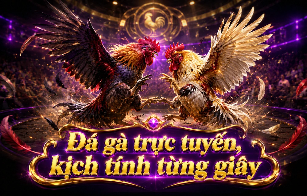 Cách bắt đầu tra cứu Quản lý tài khoản trên F88BET